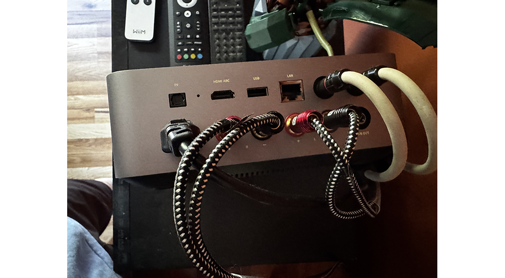 Wiim Amp Ultra rear panel