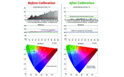 madVR Labs Introduces Professional Services Group