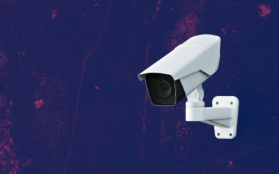 Home Security on the Rise: Americans Prioritizing Cameras and Smart Features