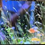 Samsung Neo QLED 990F