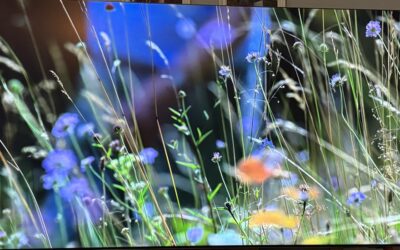 CE Pro Review: Samsung Neo QLED 990F Highlights Advancements in 8K and AI Processing