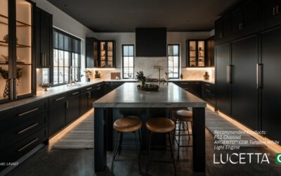 New Brand from Lucetta CI Steps Up Channel Commitment to Integrators