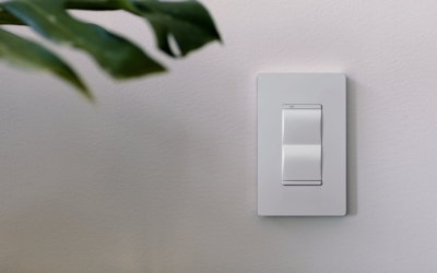 Savant Unveils More Details About Its Forthcoming AI Assistant
