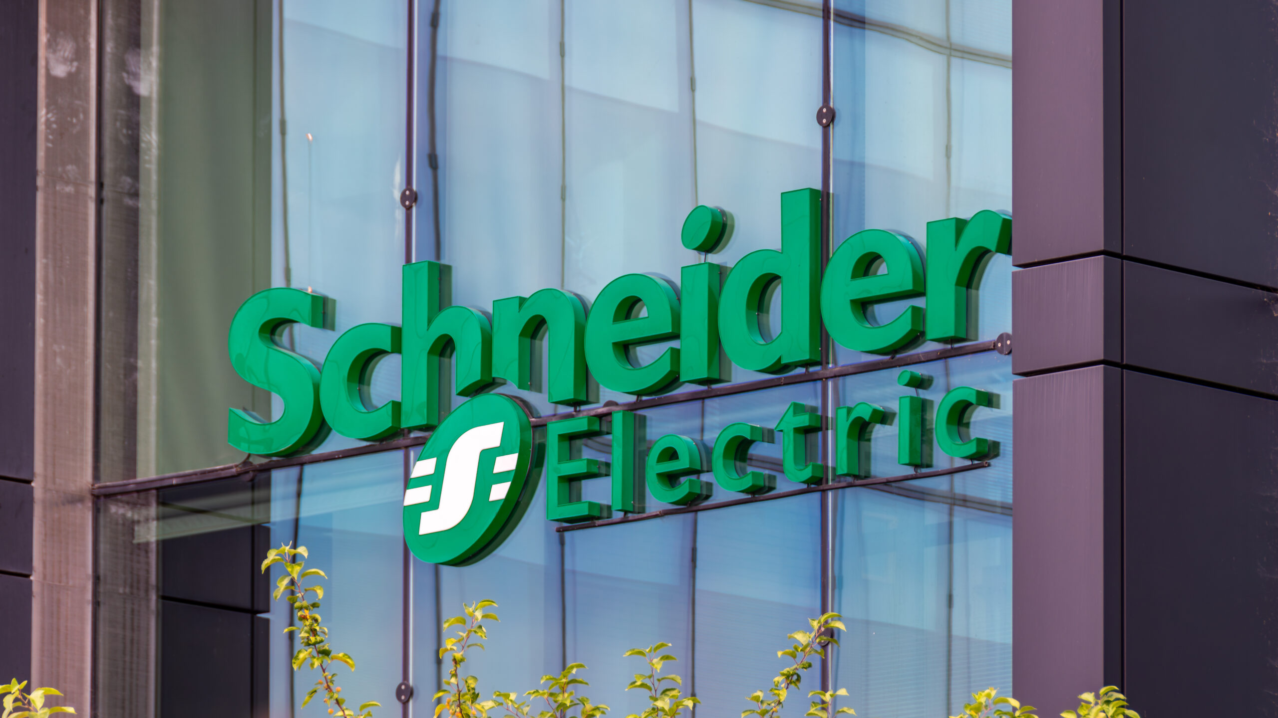 Schnedier Electric logo epmphasizing Shelly Group takeover